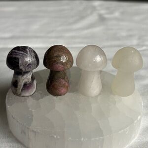 Crystal mushroom bundle